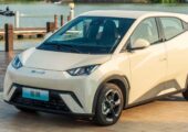 Seguro BYD Dolphin Surf